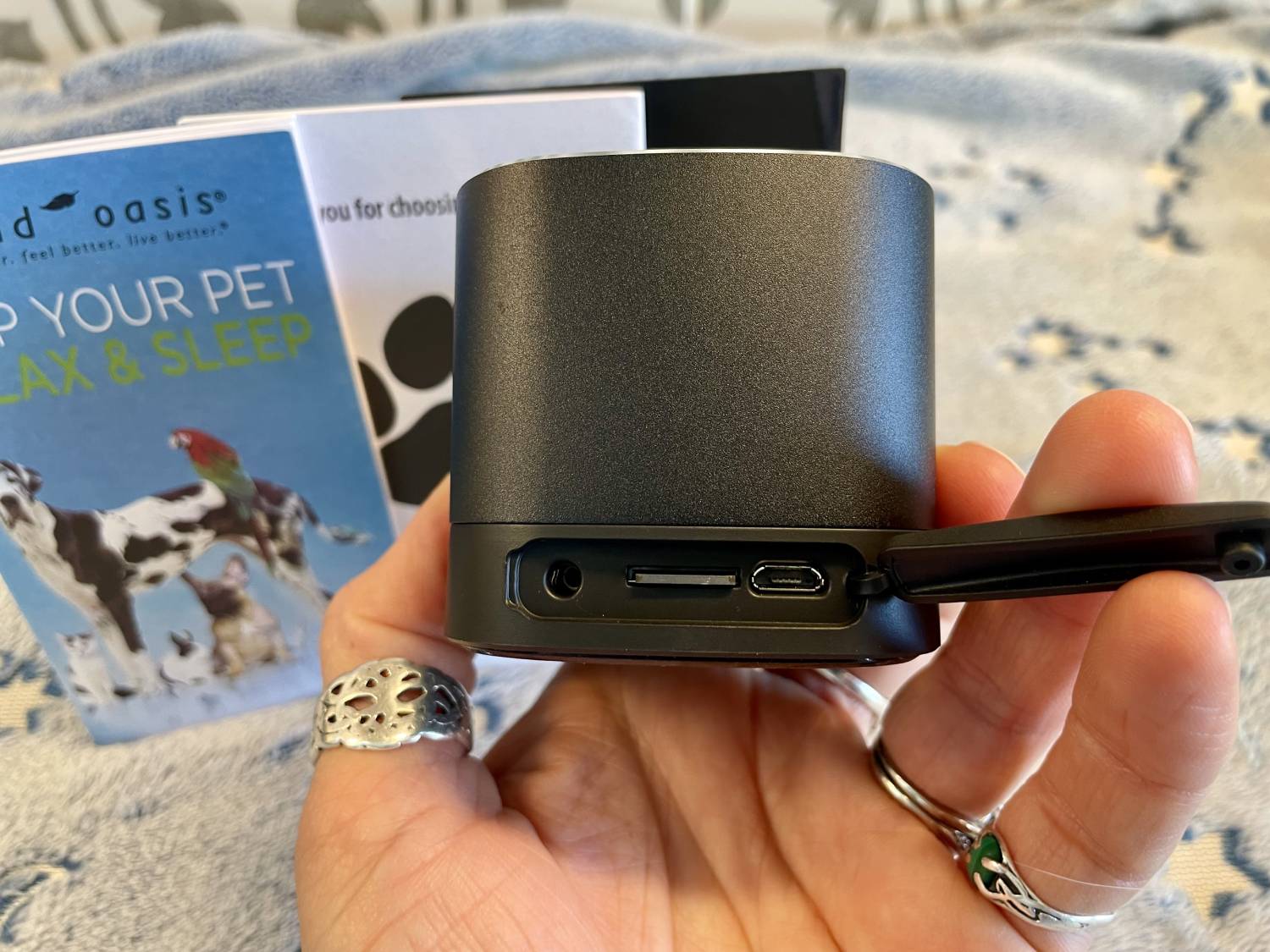 BST-80-20P Pet Sound Therapy System Review - ports