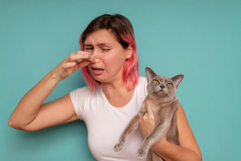 Cat Stinky