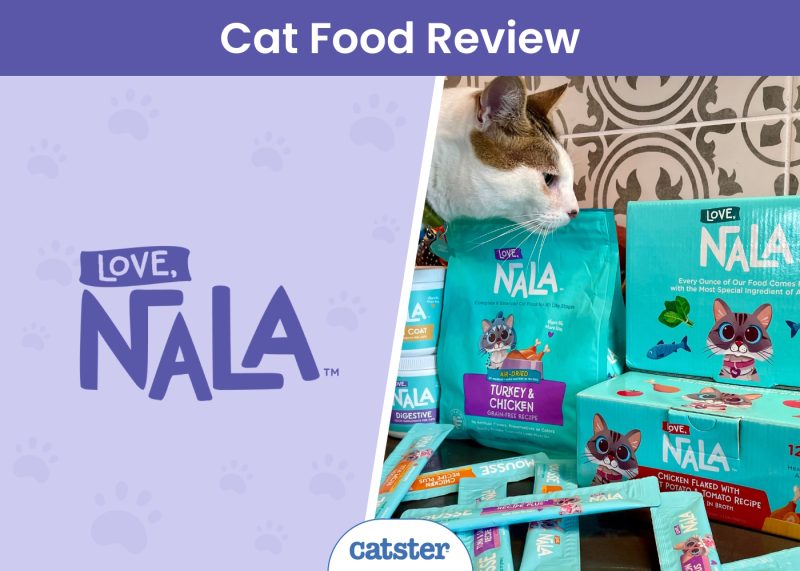 Love Nala Cat Food