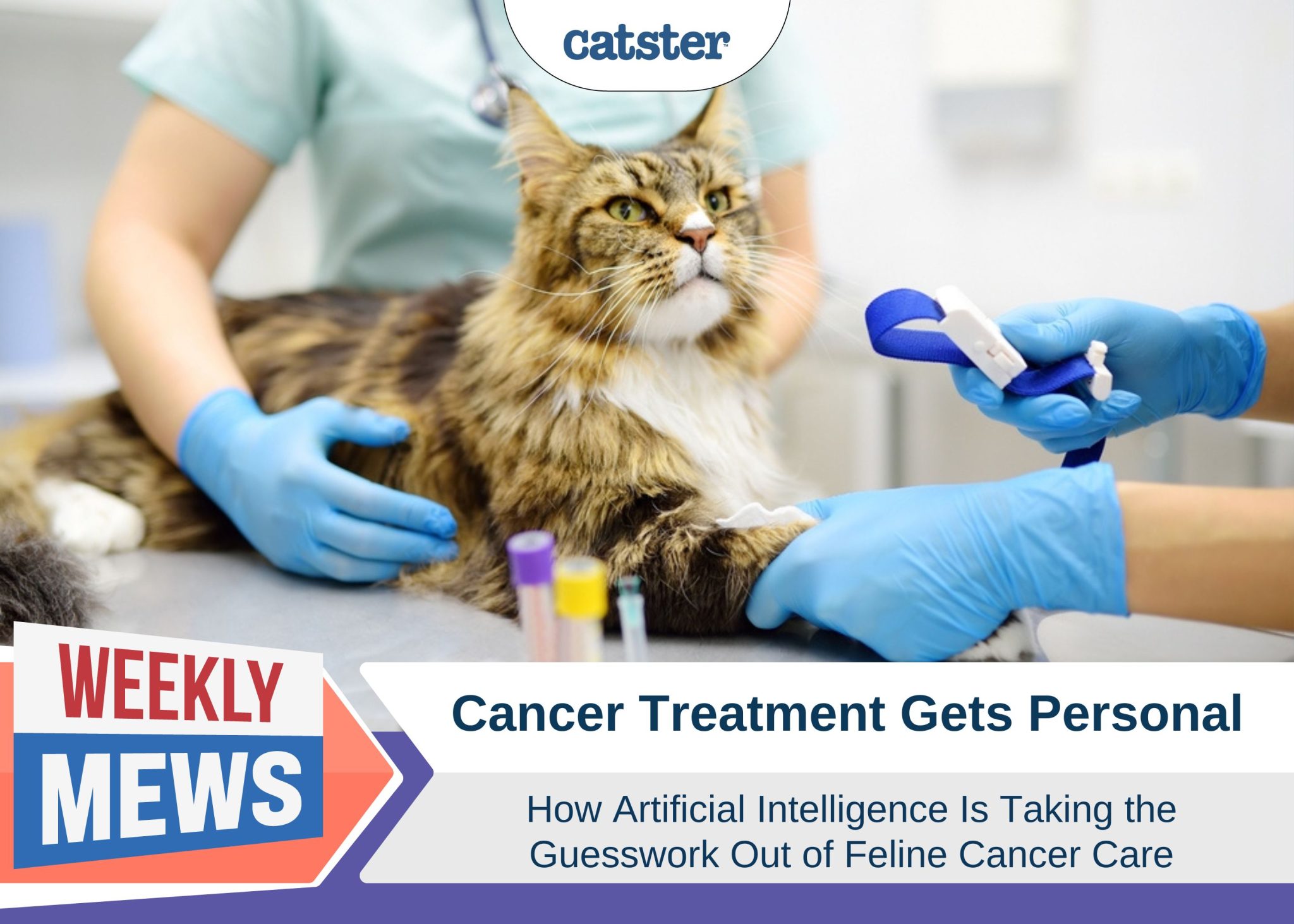 Catster_Weekly Mews AI and cancer care