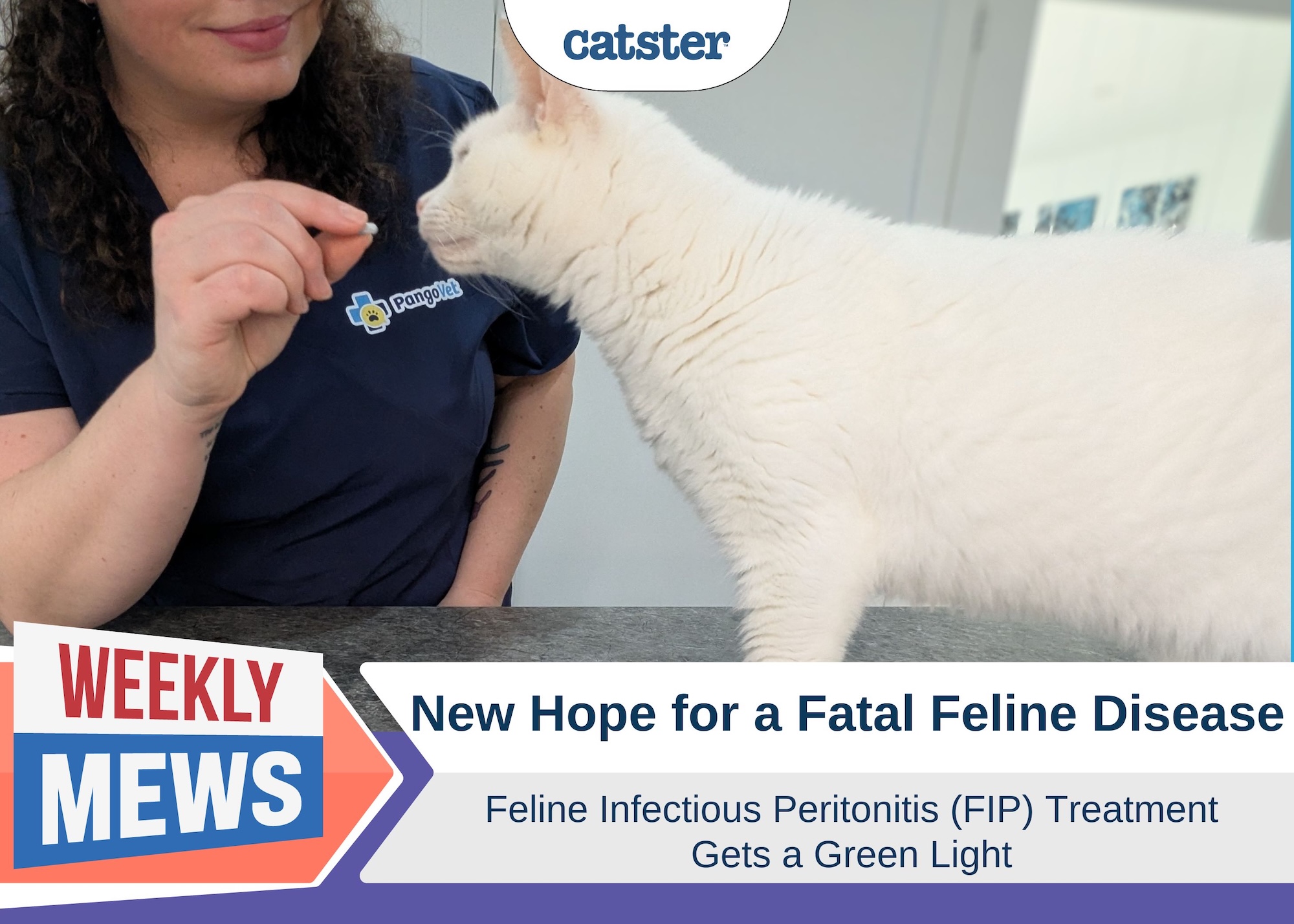 Weekly Mews FIP treatment