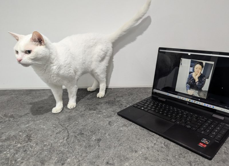 Clutch could not be less interested in video me