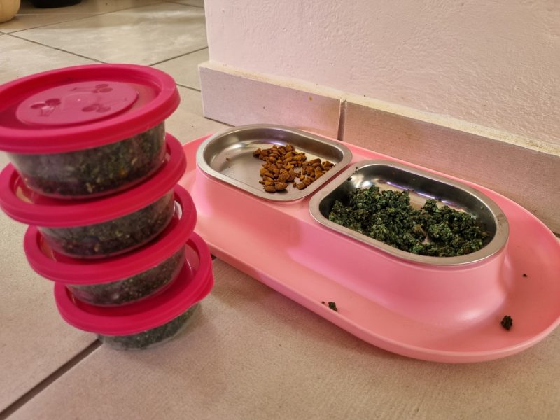 homemade low-carb chicken cat food recipe - cat food in tubs