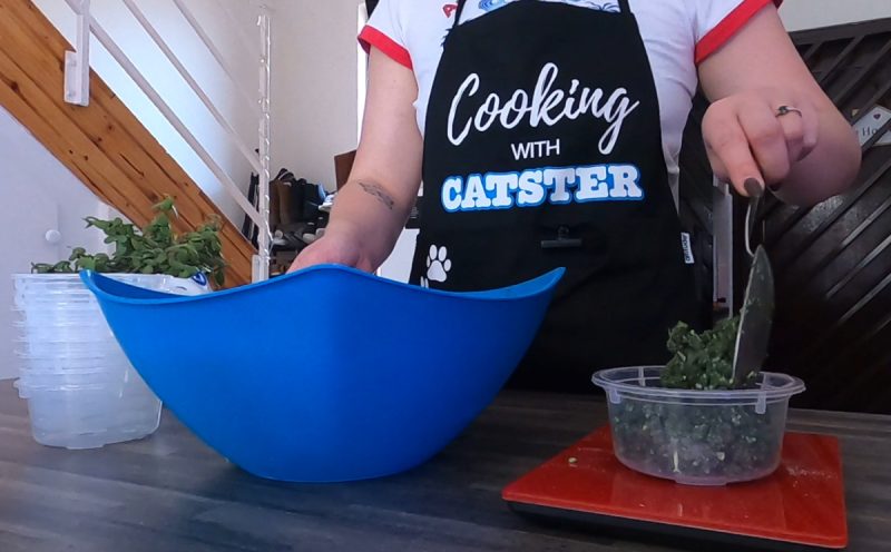 homemade low-carb chicken cat food recipe - Crystal putting the cat food in the container