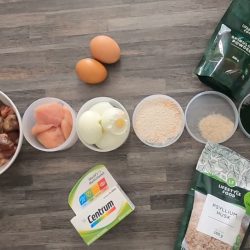 homemade low-carb chicken cat food recipes