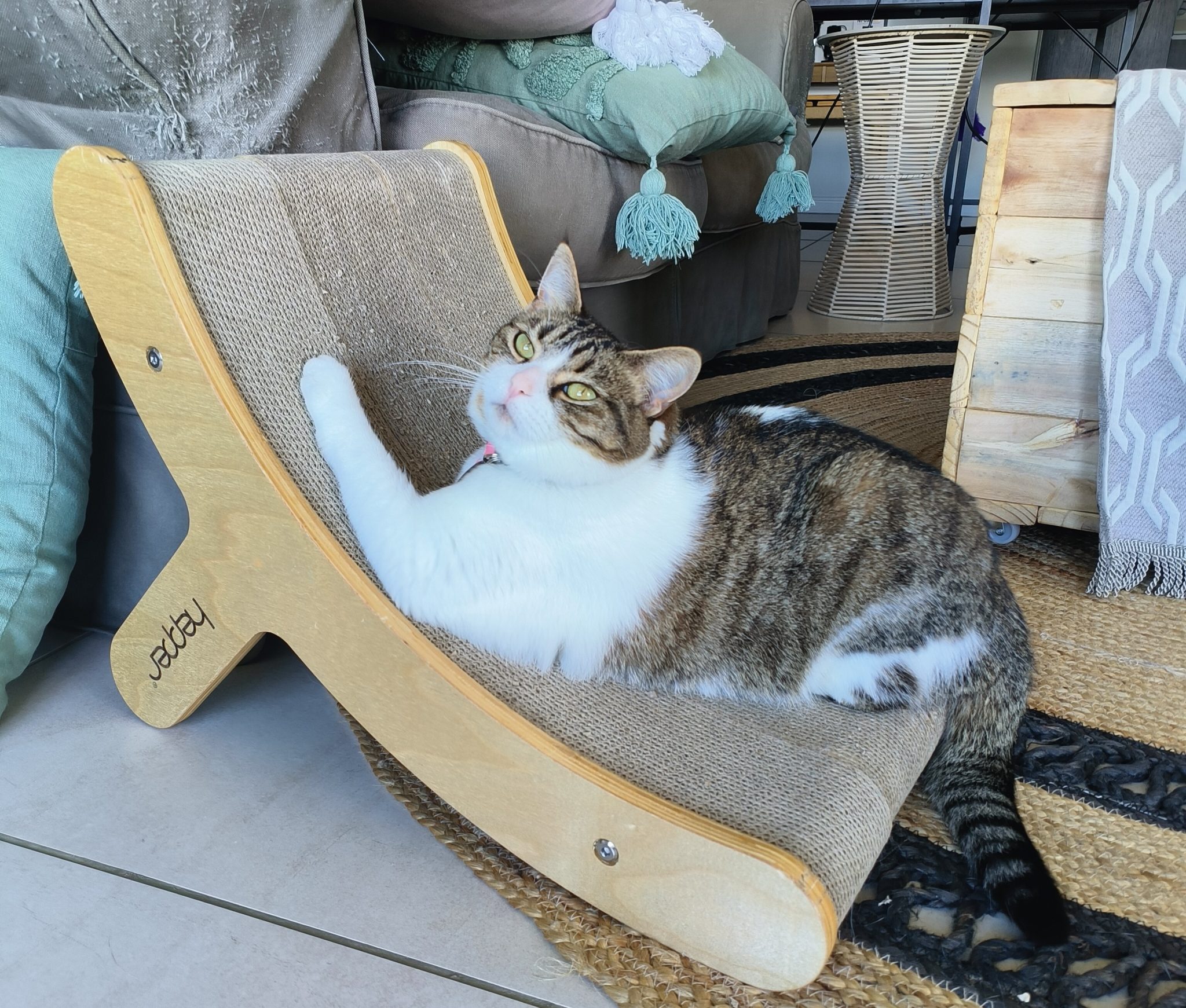 Milly and the Hepper Hi Lo scratcher