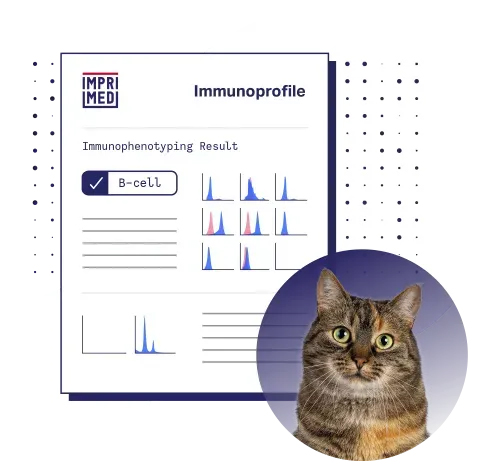 Immunophenotyping result