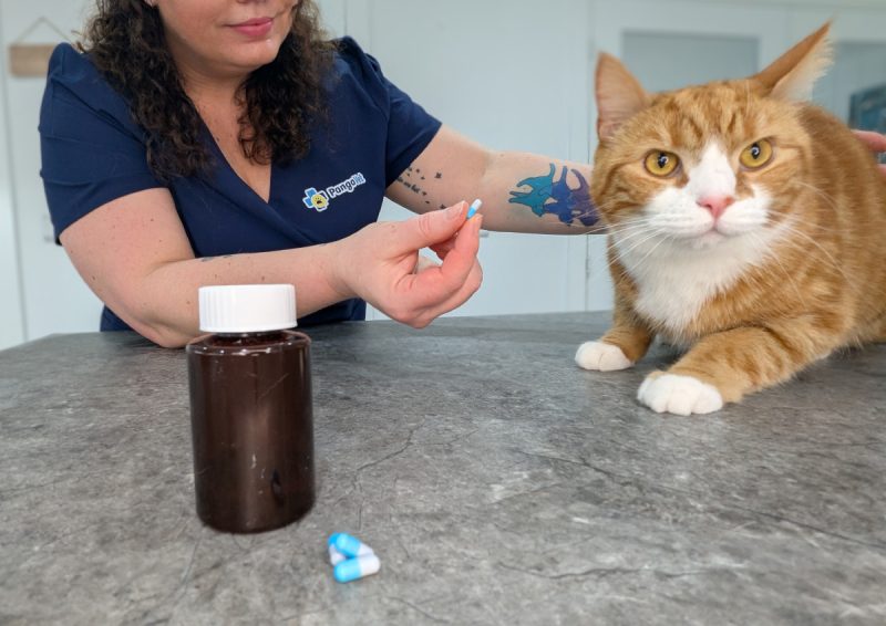 Karyn giving medicine to Alex