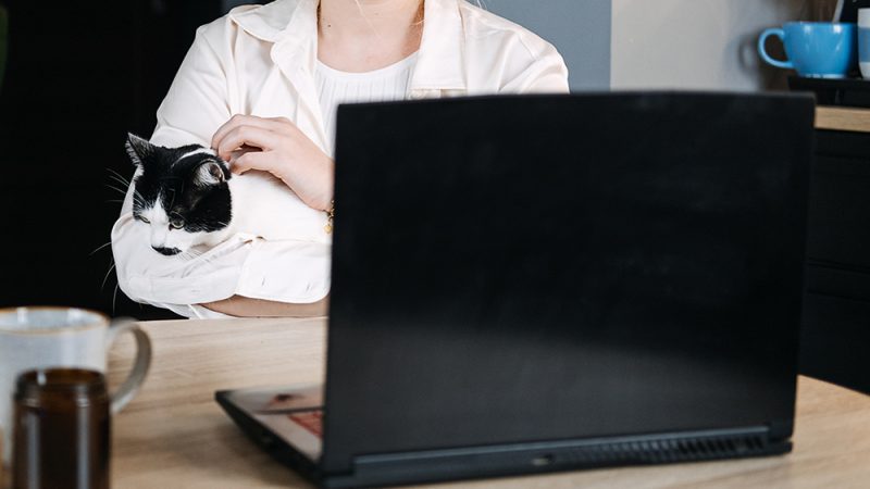 person holding her cat while looking at her laptop