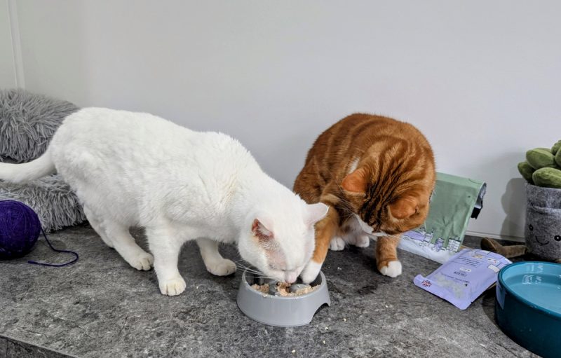 Sharing is caring