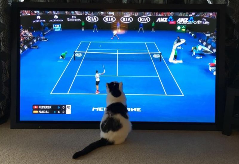 Spartacus also enjoyed a spot of tennis