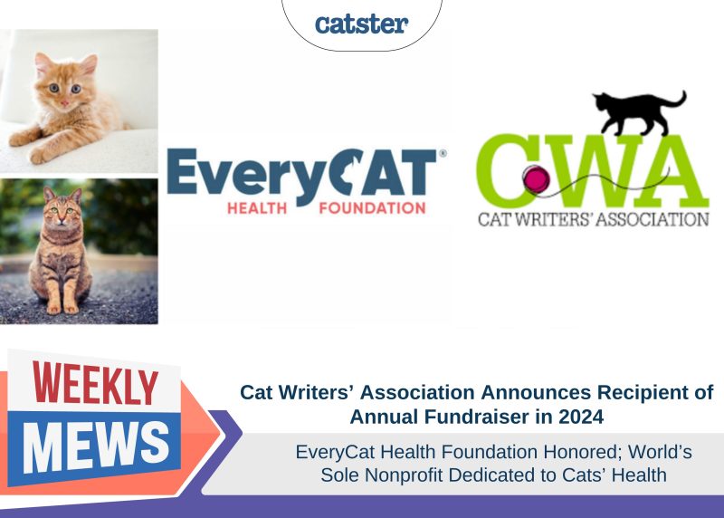Weekly Mews - EveryCat Health Foundation Honored CWA 2024 fundraiser recipient