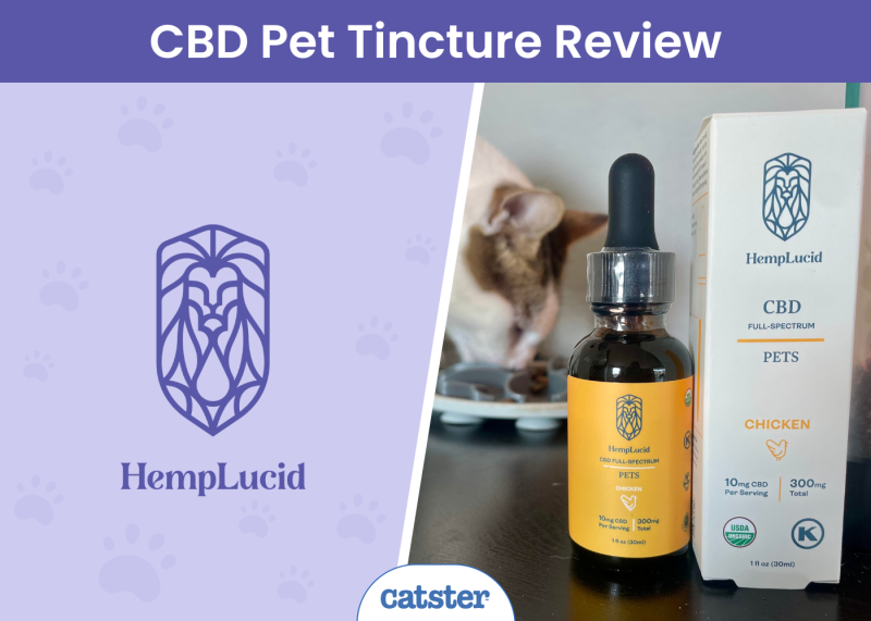 HempLucid CBD Pet Tincture