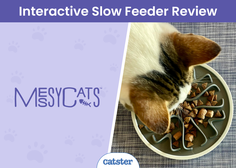 Messy Mutts Messy Cats Interactive Slow Feeder