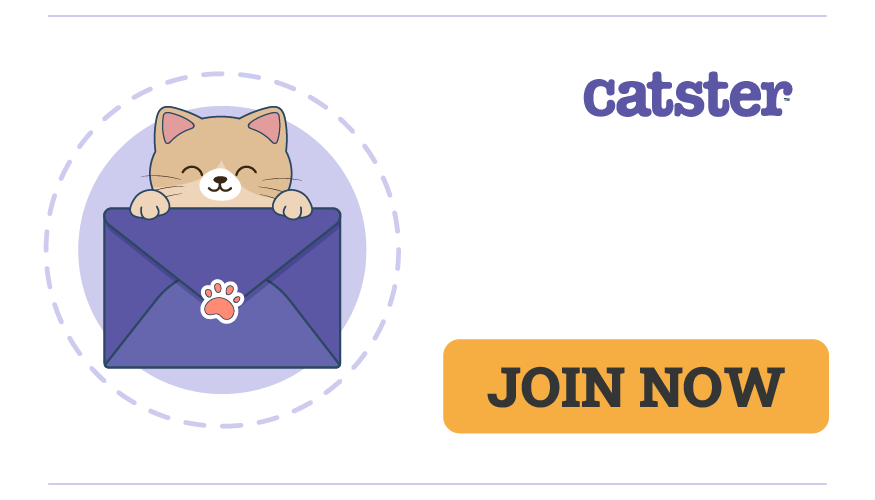 Catster email list signup for footer