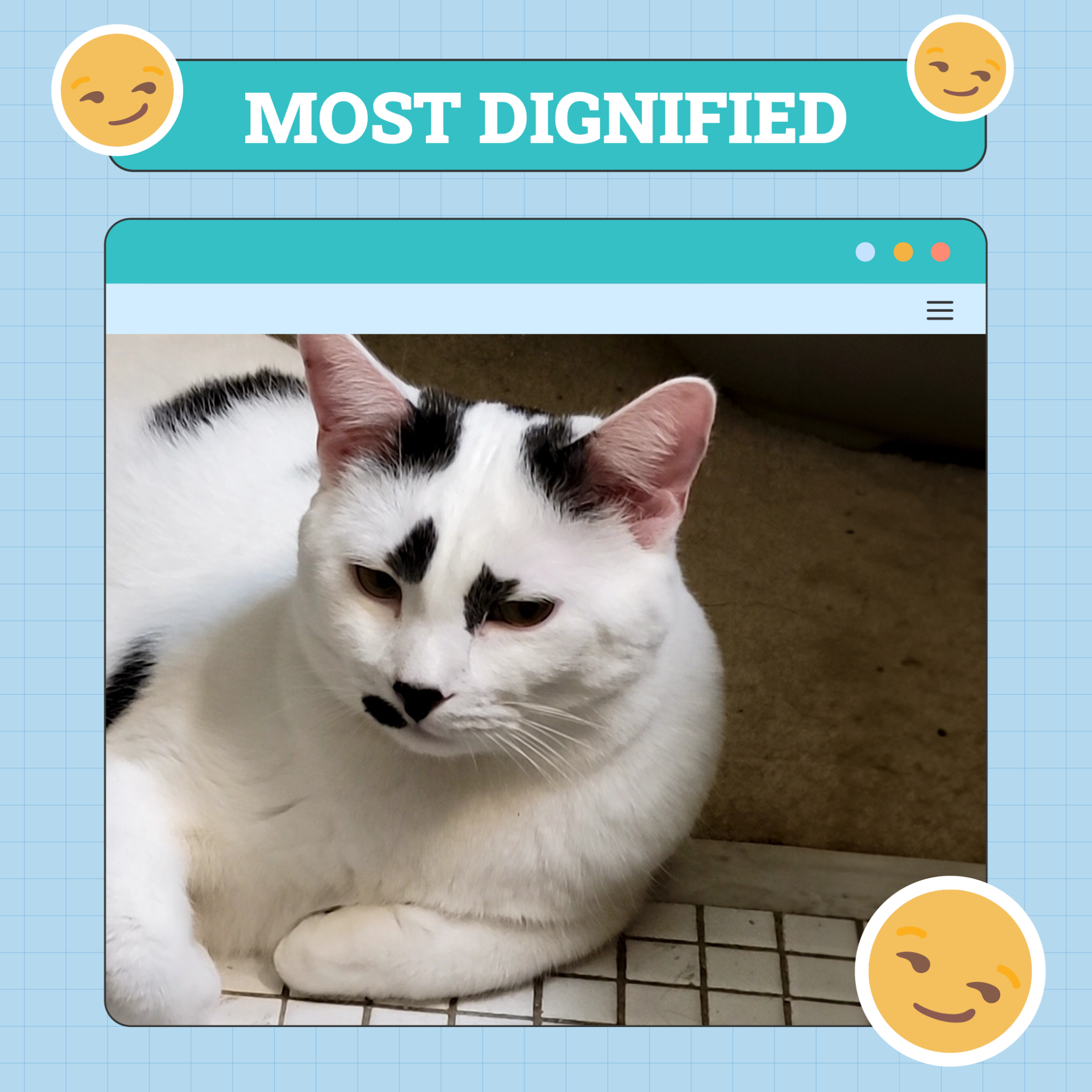 Most Dignified