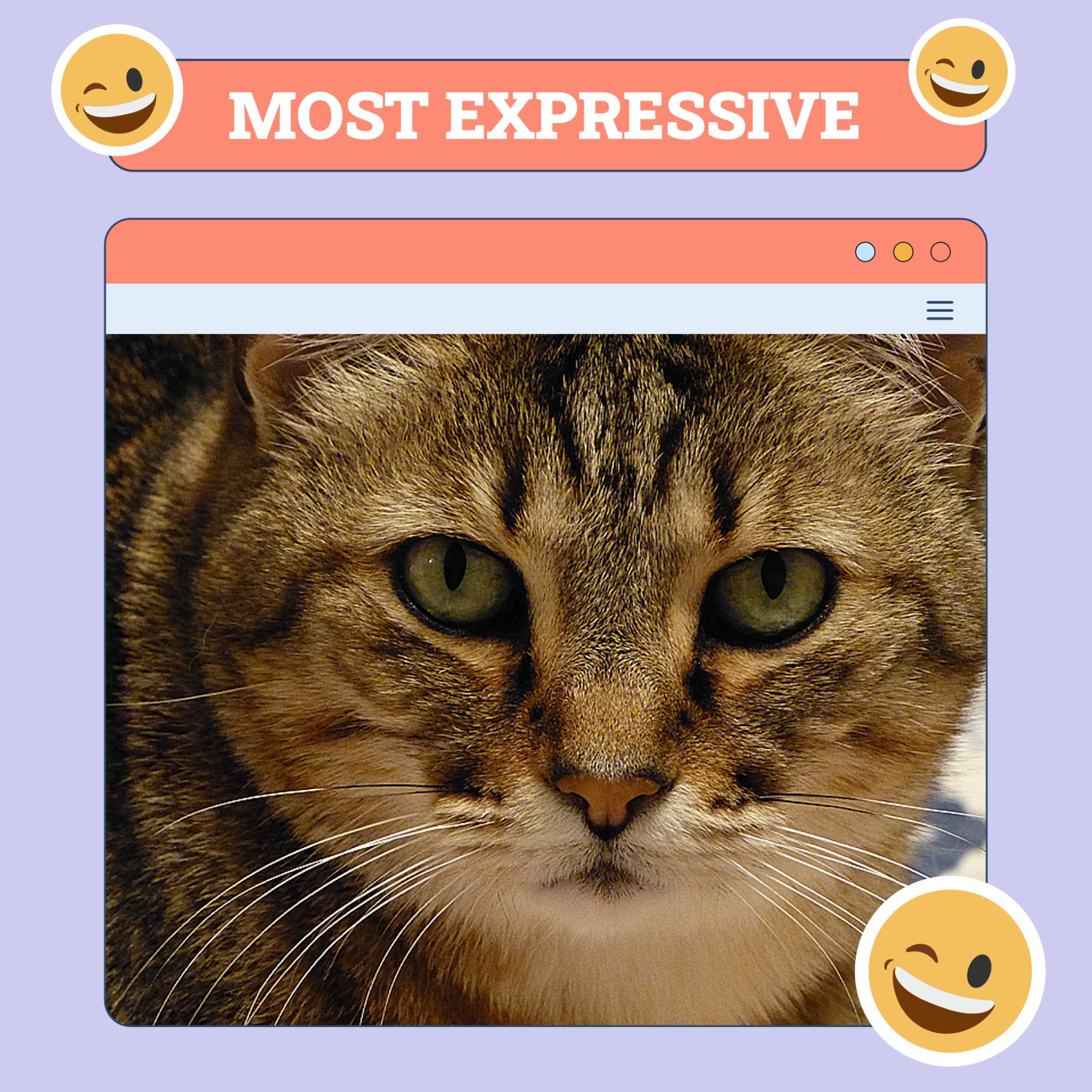 Most Expressive