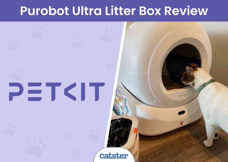 Purobot Ultra Review - featured image